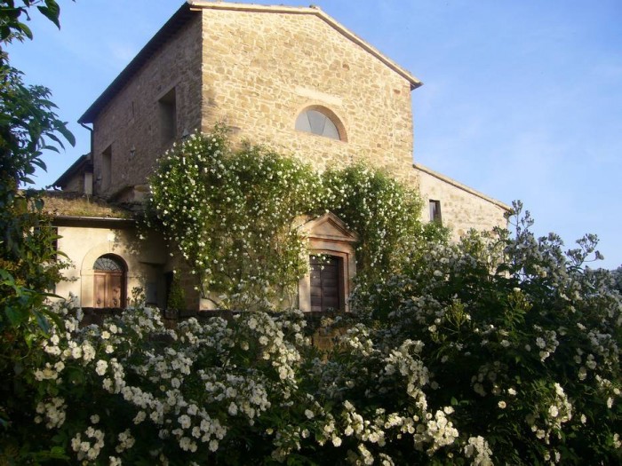 Rose "Iceberg" incorniciano il portale della chiesa. In primo piano la rosa "Rambling Rector" sulla cancellata del giardino