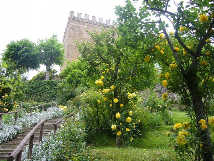 La scalinata del Frutteto fiorita di rose gialle