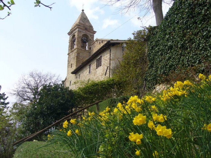 La chiesa di San Biagio e in primo piano un ciuffo di narcisi gialli