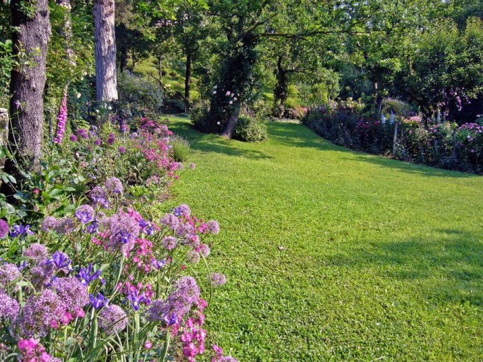 Allium, iris blu, rose "Sibelius" e "Yves Piaget" e digitali in questa bordura nei toni del viola