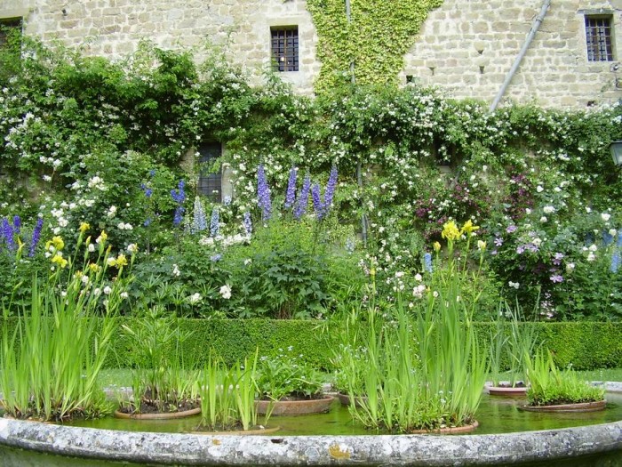 Fioriture di maggio. In primo piano la vasca con le piante acquatiche